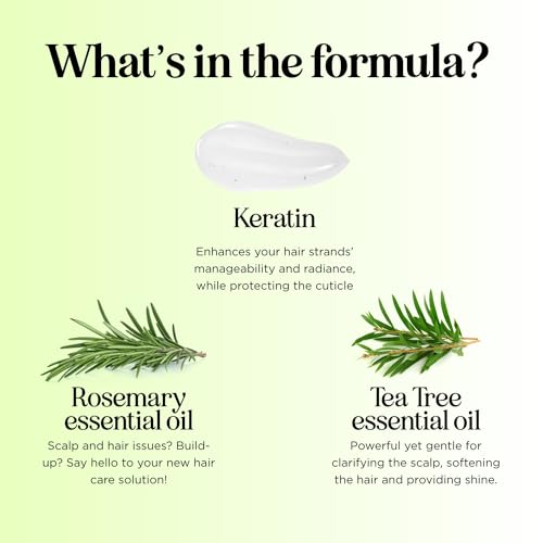 Tea Tree Shampoo and Conditioner Set - Sulfate Free Clarifying Shampoo and Conditioner for Oily Hair & Scalp Care with Australian Tea Tree Oil - Complete Dry Scalp Treatment for Build Up (8 Fl Oz)