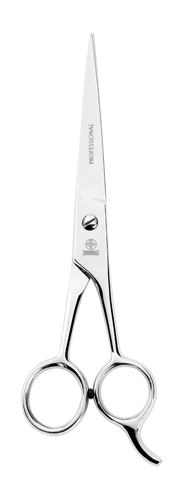 Hair Scissors 6 Razor Edge