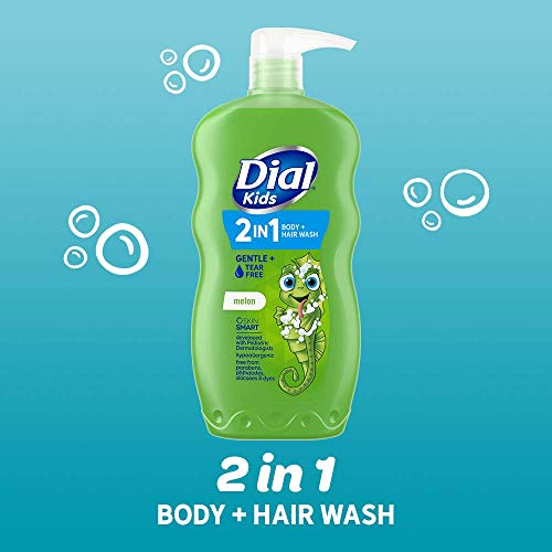 Dial Kids 2-in-1 Body+Hair Wash, Melon Scent, 24 fl oz (Pack of 4)