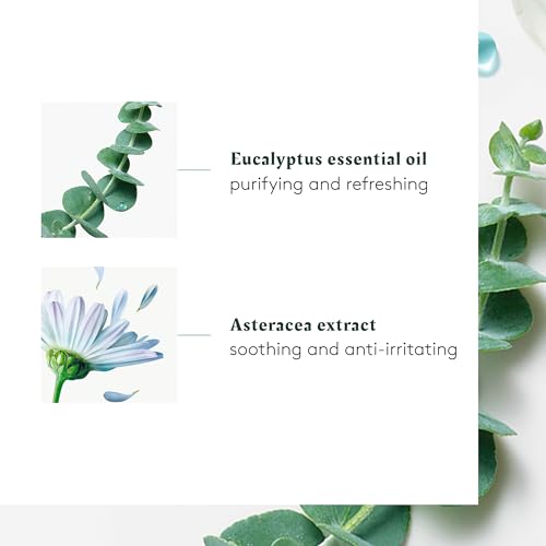 Rene Furterer Head Spa ASTERA Soothing Concentrate, Pre-Shampoo Soothing Scalp Treatment, - Soothe Sensitive Scalps - Mint & Eucalyptus - Paraben & Silicone-Free - 1.6 oz.