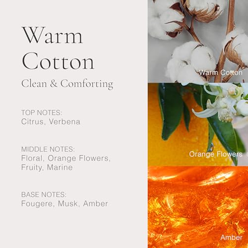 CLEAN CLASSIC 5x5mL 2024 Holiday Gift Set