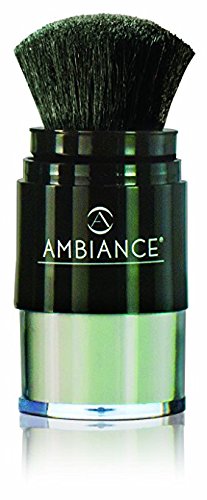 Ambiance Dry Shampoo Combo Pack, Applicator Brush & Refill - Available in 5 Colors - No Tint