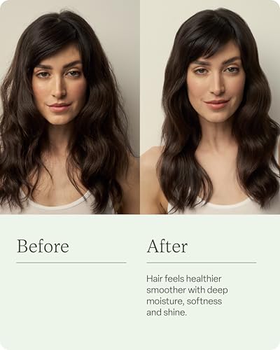 divi Hydrating Shampoo for Women and Men - Gently Cleanses and Removes Scalp Buildup - Hydrates, Strengthens, and Nourishes Hair - Vegan, Cruelty-Free, Paraben-Free, 12 Fl Oz