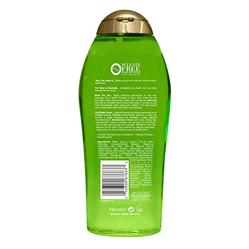 OGX Extra Strength Refreshing Scalp + Teatree Mint Shampoo, Invigorating Scalp Shampoo &Conditioner with Tea Tree & Peppermint Oil & Witch Hazel, Paraben-Free, Sulfate-Free Surfactants, 25.4 Fl Oz