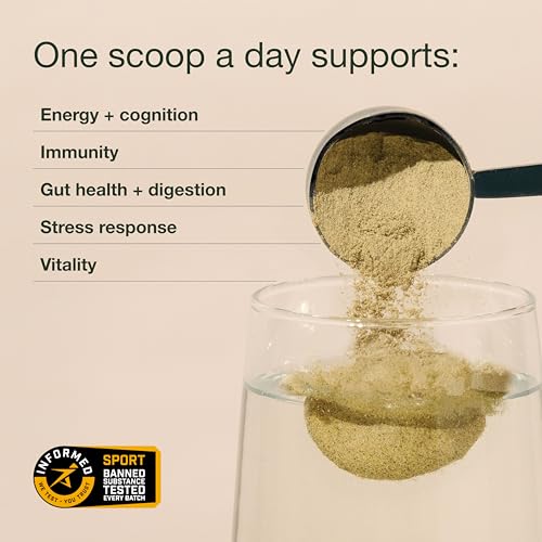 Nuzest Greens Powder Good Green Vitality – Vitamins, Minerals & Superfoods – Vegan Multivitamin Supplement 10g (Pack of 5)