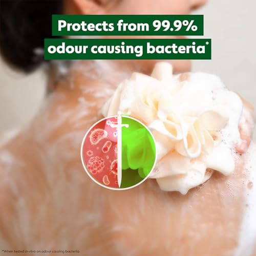 Dettol Body Wash and shower Gel, Refresh - 250ml