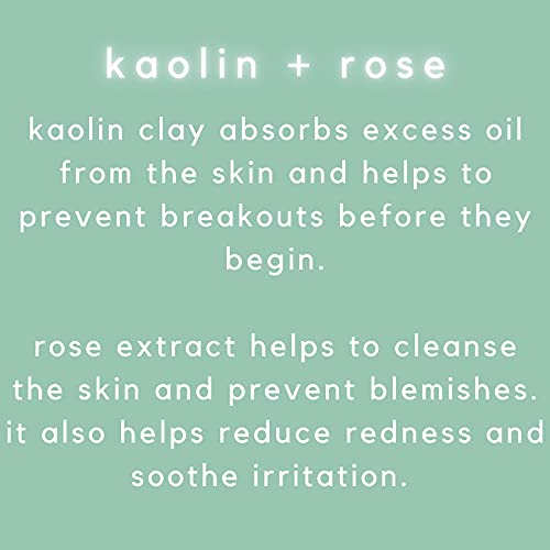 Sun + Moon Nice to Mask You Unwind + Undo 10 Min Clay Facial with Kaolin Clay & Rose, 5.1 fl oz