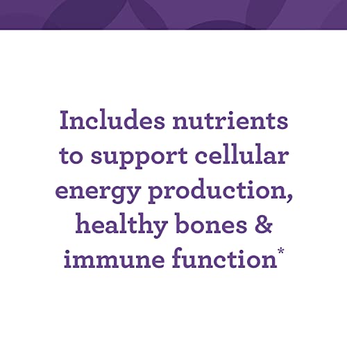 INNATE Response Formulas One Daily without Iron - Iron-Free Daily Multivitamin - With B Vitamins - Vegetarian, Non-GMO, and Kosher - Made Without 9 Food Allergens - 60 Count (60 Servings)