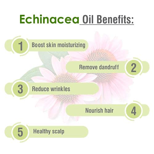 Salvia Echinacea Oil Pure and Natural Echinacea Oil Extract | Hair Care (Clean, Smooth and Silky Hair) | Skin Care (Hydrate, Nourish, Protect Skin) - 30 ML echinacea_30ml