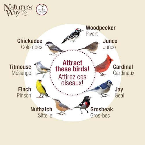 Nature's Way Outdoor Garden Décor Hanging Wild Bird Seed Feeder, Metal Copper Gazebo Feeder, Easy Fill, Rain Drainage, Black and Copper