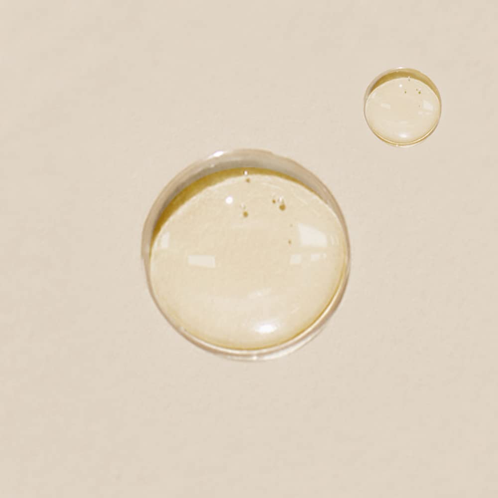 MANYO Factory Our Vegan Heartleaf CICA Toner Korean Skin Care 13.52fl oz (400ml) (ENG Version)