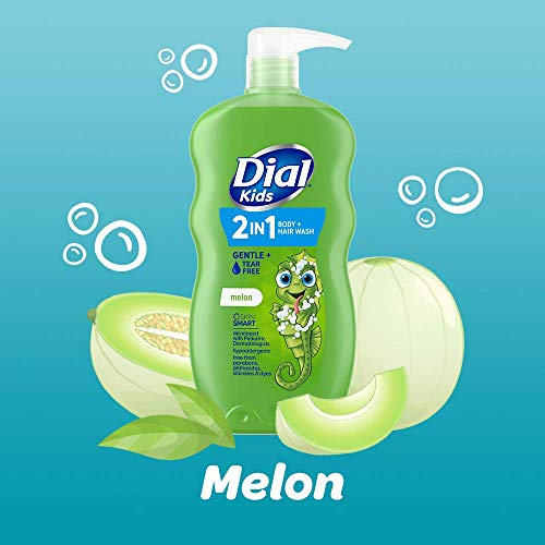 Dial Kids 2-in-1 Body+Hair Wash, Melon Scent, 24 fl oz (Pack of 4)
