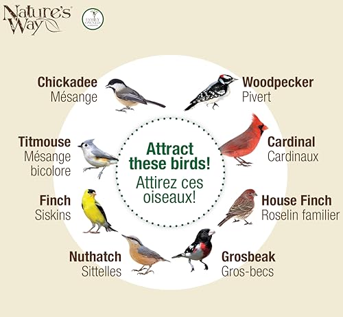 Nature's Way Midnight Metal Mesh Mixed Seed and Peanut Bird Feeder for Wild Birds and Outdoor Décor, 2.75 Quart Capacity, Easy to Clean and Fill with Easy-Cling Mesh, Black