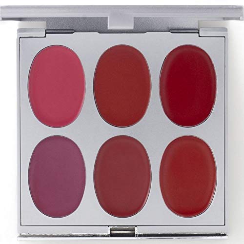 New Again by Jerome Alexander Lipstick Palette & Retractable Brush, 6 Hot-Poured, Buildable & Blendable Smooth Matte Shades (Exciting Look)