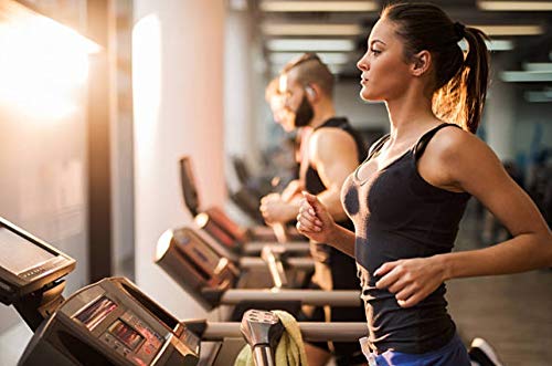 Kenz Laurenz 100 Hair Elastics Hair Ties No Crease Ouchless Ponytail Holders No Metal 4mm (100 Black)