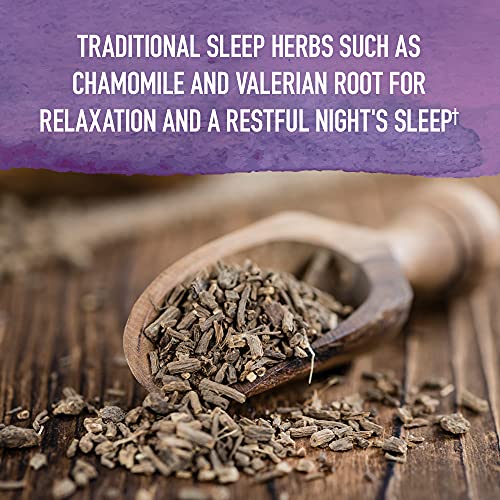 Garden of Life Organics Elderberry Immune Support for Kids with Zinc, Vitamin C - Kids Elderberry & Sleep Immune Syrup Liquid, Bedtime Herbs for Children, No Alcohol, No Added Sugar, 3.92 fl oz