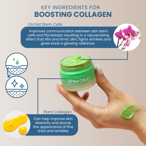 CLEAN SKIN CLUB Brightening+ Stem Cell Eye Cream, Reduces Dark Circles & Puffiness, Fragrance Free, 1.2 fl oz (Pack of 1)