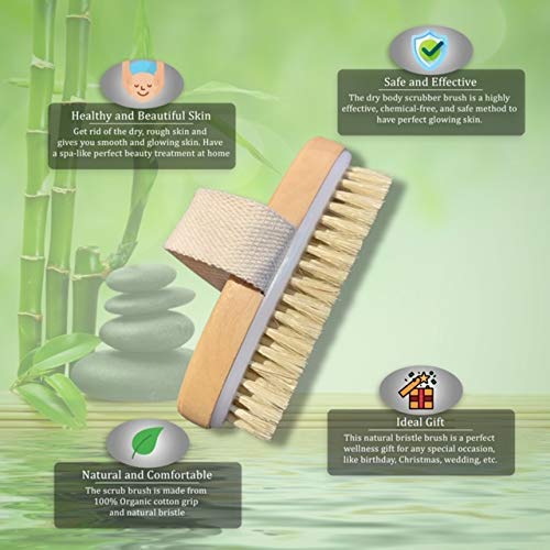 Spiffy Skin Wet and Dry Body Brush Exfoliator - Medium Soft Natural Bristle - Exfoliates Dead Skin - Slows Aging - Reduces Cellulite - Stimulates Lymph and Blood Flow and increases Energy