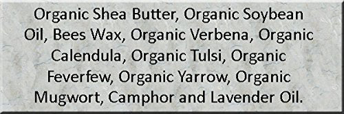 LipsPlus Herbal Healing Lip Balm Cold Sore Remedy All Natural with Shea Butter