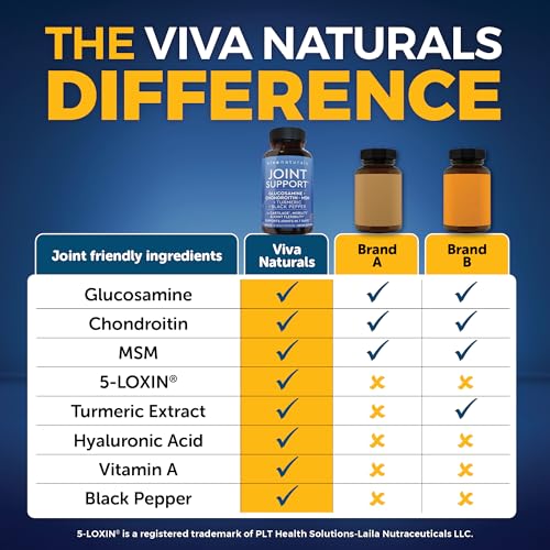 Glucosamine Chondroitin MSM Joint Support Supplement, 90 Capsules - with Turmeric, Black Pepper, Boswellia and Hyaluronic Acid - Joint Health Supplement for Mobility, Flexibility and Comfort