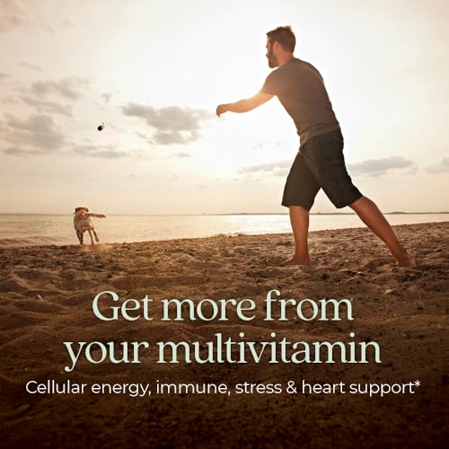 New Chapter Men's Multivitamin for Immune, Stress, Heart + Energy Support with Fermented Nutrients - Every Man's One Daily, Made with Organic Vegetables & Herbs, Non-GMO, Gluten Free - 96 ct