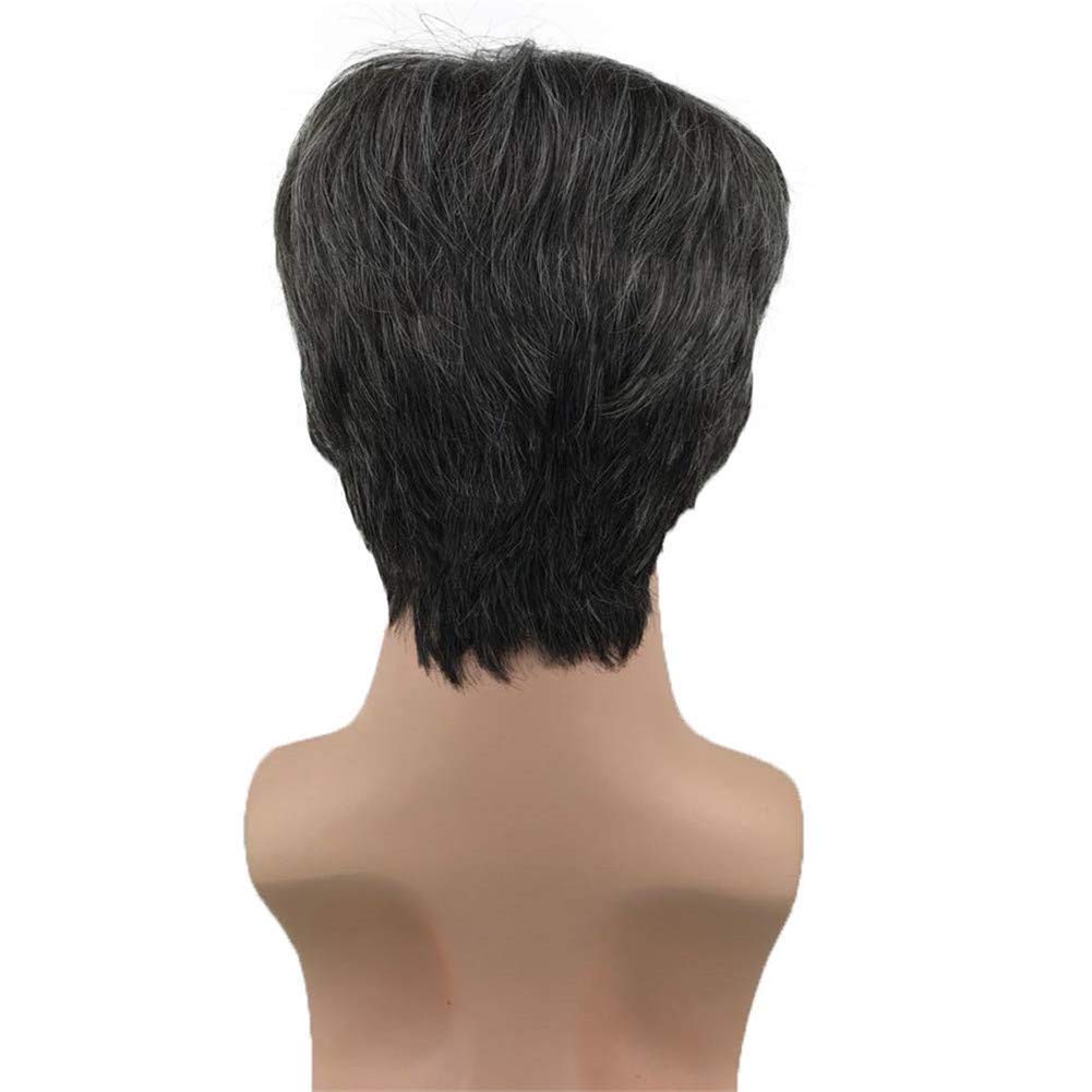 Aimole Synthetic Short Men Wigs Natural Body Wave Hair Heat Resistant Full Capless Wig
