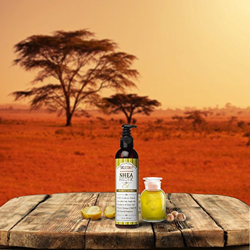 Shea Terra Organics Shea Nilotik’ Oil Scented With Namibian Marula |Natural Skin Daily Moisturizer - 8 oz