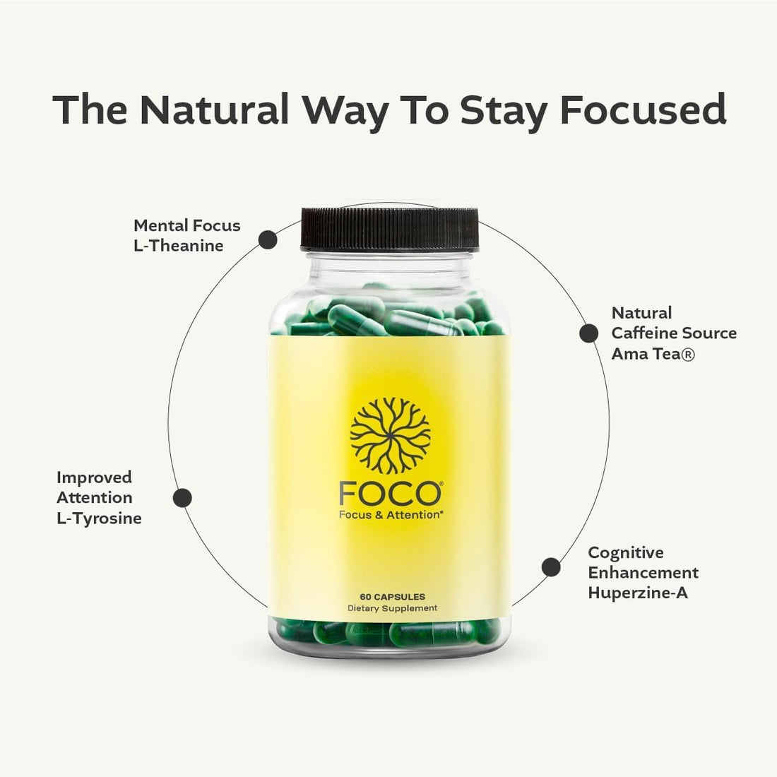 Think FOCO - Focus Supplement for Teens & Adults (13+) - Natural Focus in 30 Minutes - Brain Supplements for Memory and Attention - Vegan Vitamin, Gluten Free, Non GMO Vitamins