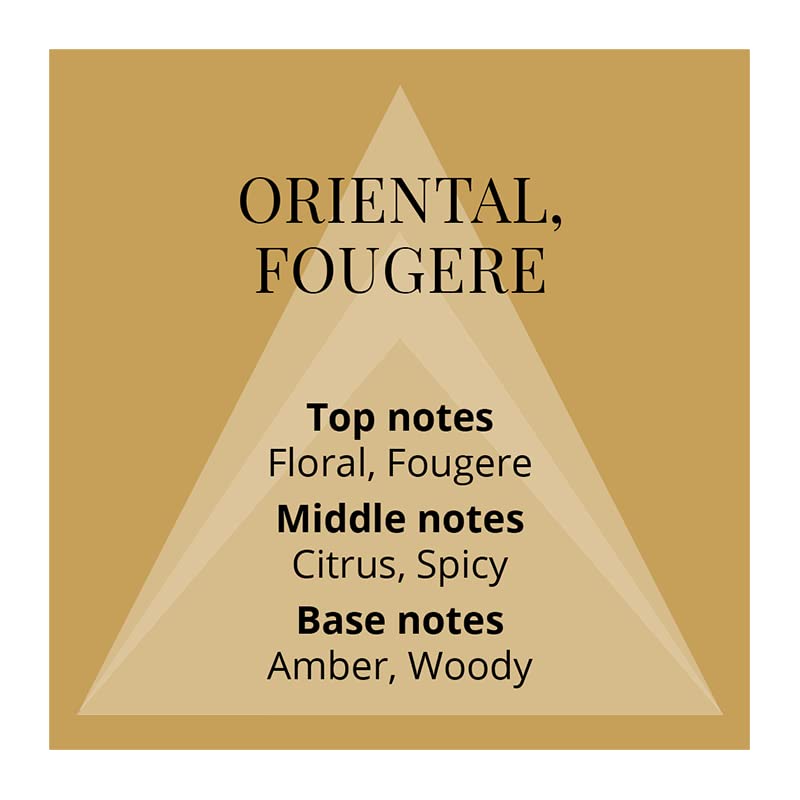 COLOUR ME Men Homme Gold Eau De Floral Spray Parfum 50Ml