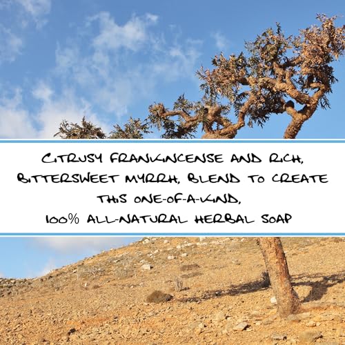 Bluebyrd Soap Co. Frankincense & Myrrh Soap Bars 5oz | 100% All Natural Soap - Scented with Pure Essential Oils | Vegan Moisturizing Coconut Oil Soap Bars For Body, Face, & Bath (Frankincense)