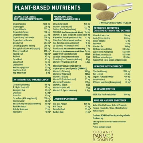 Vital Greens Antioxidant Superfood Powder Natural Multivitamin Formula 120gm / 4.23 oz