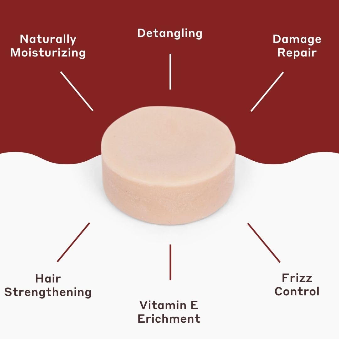 Parrotfish Moisturizing Argan Conditioner Bar | Good for Colored Hair | Vegan (Made in the USA)