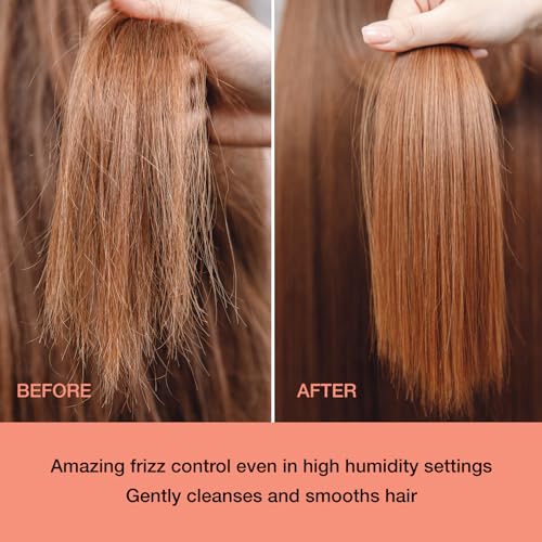 Ginger Lily Farms Salon Formula FrizzFreeze Pro Anti-Frizz Conditioner for Frizzy Hair, 100% Vegan & Cruelty-Free, 1 Gallon (128 fl oz) Refill