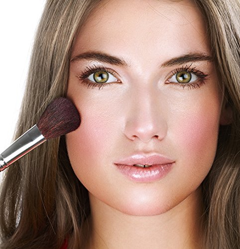 Natural Goat'S Hair Blush Brush By Demure Cosmetics, Two For One!