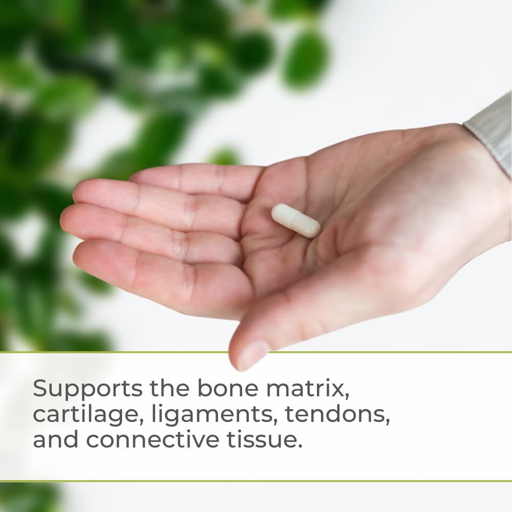 Youngevity Ultimate Gluco-Gel -for Joints, Tendons, Bones & Cartilage | Contains Glucosamine, Gelatin & Manganese | 240 Capsules | 1 Bottle