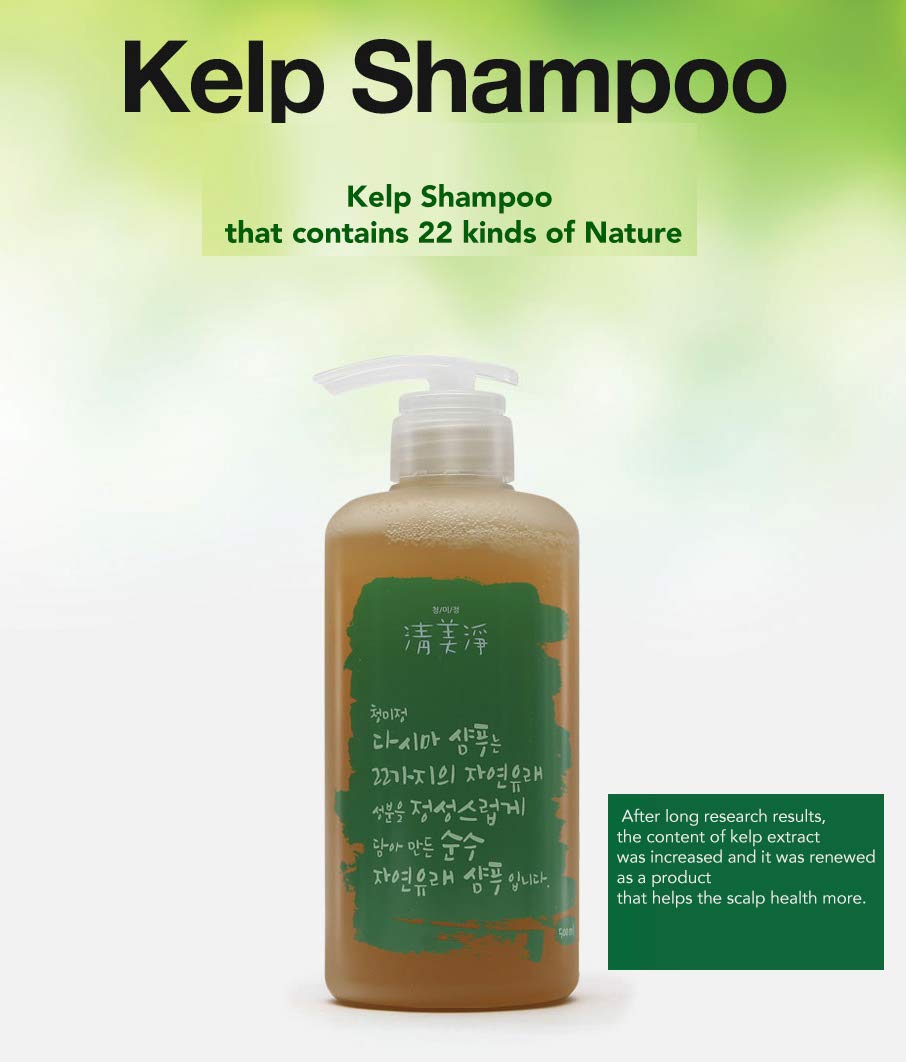 [ChungMiJung] Kelp Small Scalp Shampoo Dandruff Shampoo 500ml-organic 18 Ingredients from Nature for Sensitive Skin Korean Skincare,16.91 Fl oz (Pack of 1)
