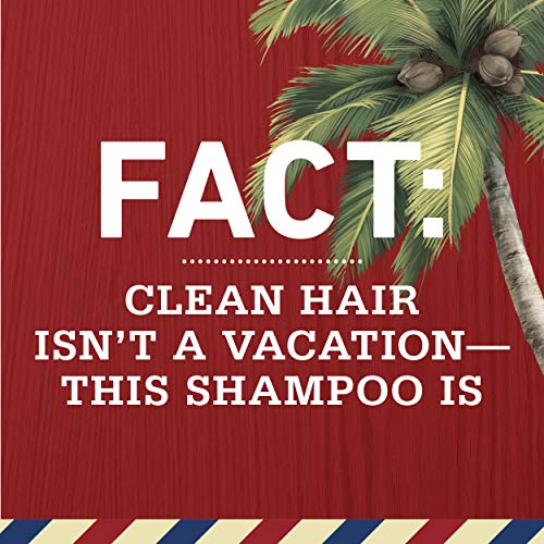 Old Spice Fiji 2in1 Shampoo and Conditioner for Men, 13.5 fl oz, 5.449 Fl oz