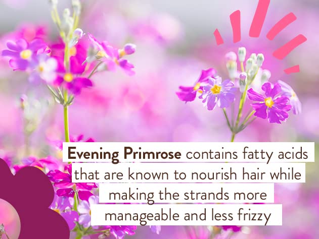 Babo Botanicals Smoothing Conditioner with Evening Primrose Oil, Coconut Oil and Provitamin B5 - For Babies, Kids and Adults with Tangly or Unruly Hair - Vegan