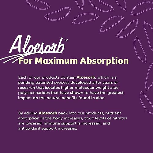 Lily Of The Desert Aloe Vera Gelly Soothing Moisturizer, 8 Ounce