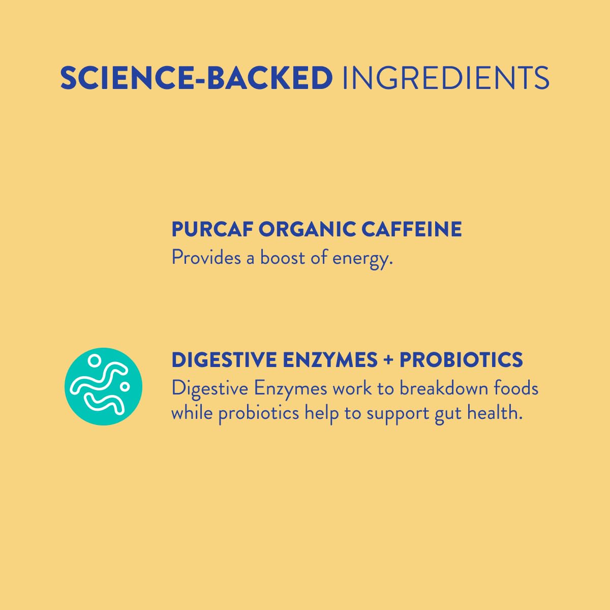 FRISKA Energy Boost Enzyme and Probiotics Supplement, Promotes Better Digestion and Energy for Men and Women, Gut Health, 30 Capsules