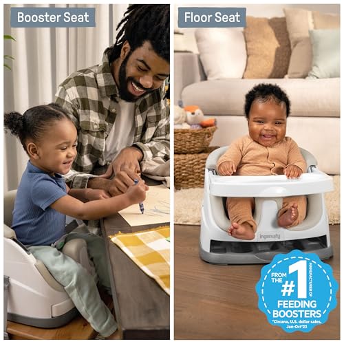 Ingenuity Baby Base 2-in-1 Booster Feeding and Floor Seat with Self-Storing Tray - Pink Flambe