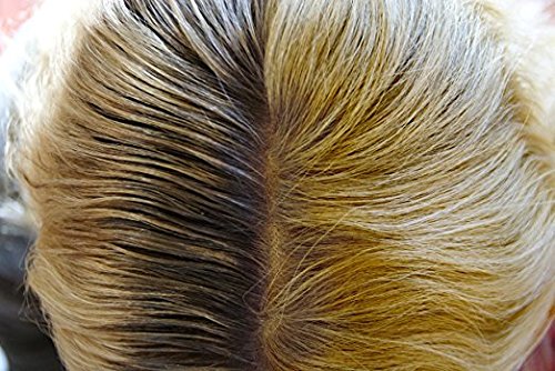 Ambiance Dry Shampoo Combo Pack, Applicator Brush & Refill - Available in 5 Colors - No Tint