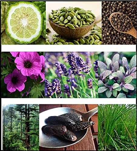 Fila for Men - 1.5 ml Edt Spray Vial (Mini)