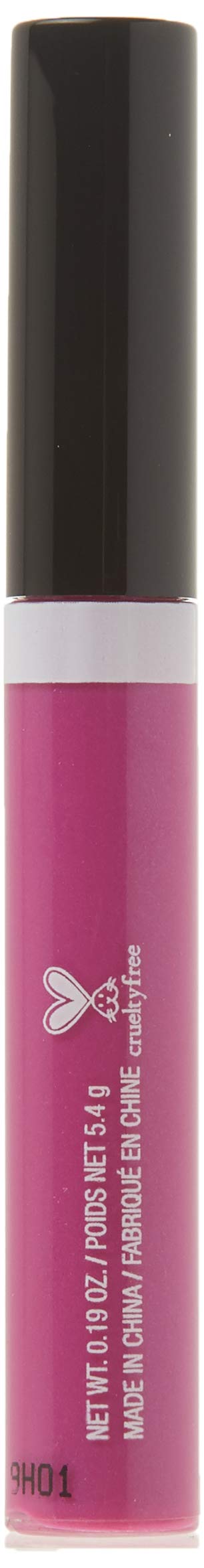Wet & Wild Lip Gloss, Berried Treasure, 1.8 Ounce