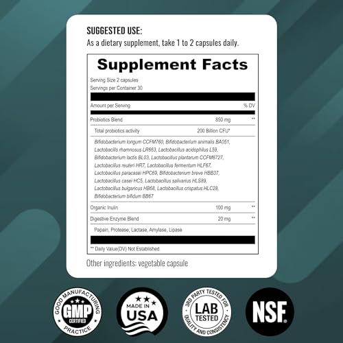 UpNourish Probiotics - 200 Billion CFUs, 15 Strains, Prebiotics & Enzymes - 60 Vegan Capsules