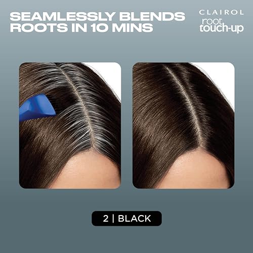 Clairol Root Touch-Up Permanent Hair Color Creme, 2 Black, 2 Count