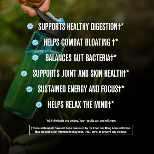 ROUNDHOUSE PROVISION Morning Kick, Greens Superfood Powder Supplement with Ashwaganda, Collagen, Probiotics, Supports Energy Levels, 30 Servings (Strawberry Lemonade) by Chuck Norris