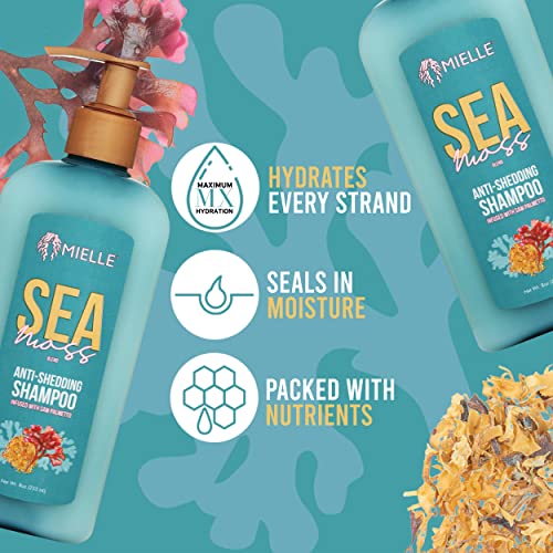 Mielle Organics Sea Moss Anti-Shedding Shampoo