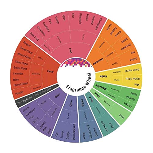 Bath & Body Works Signature Collection Paris Amour 8.0 oz Fine Fragrance Mist, 8 fl oz / 236 mL