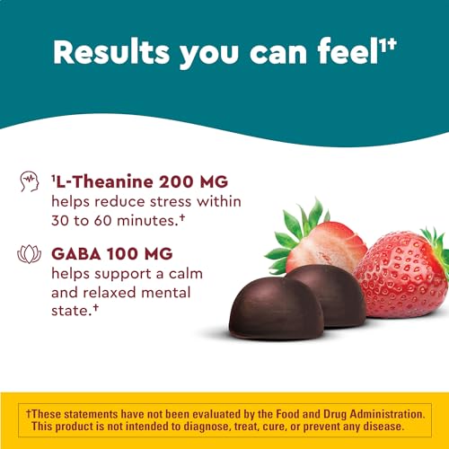 Nature Made Wellblends Stress Relief Gummies, L theanine 200mg to Help Reduce Stress, with GABA 100mg, Same Day Stress Support, 40 Strawberry Flavor Gummies